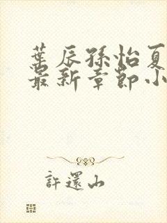 叶辰孙怡夏若雪最新章节小说