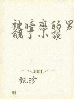 被暗恋的男神觊觎了小说封面