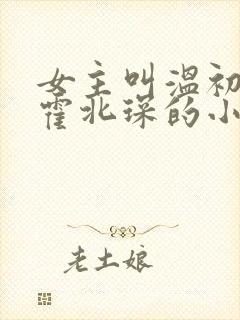 女主叫温初男主霍北琛的小说