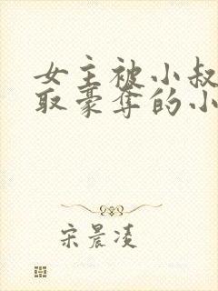 女主被小叔子强取豪夺的小说封面