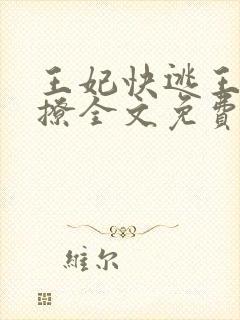 王妃快逃王爷别撩全文免费阅读封面