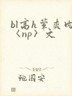 bl高h荤爽肉〈np〉文