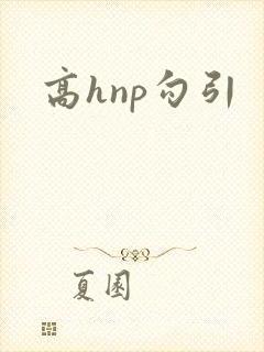 高hnp勾引