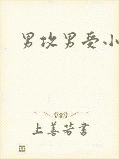 男攻男受小说h封面