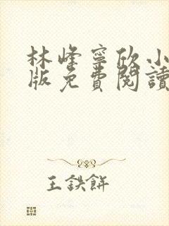 林峰宁欣小说正版免费阅读全文