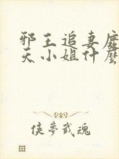 邪王追妻废材逆天小姐什么时候写的