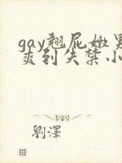 gay翘屁嫩男爽到失禁小说