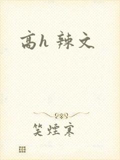 高h 辣文封面