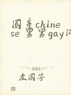 国产chinese 男男gay网站