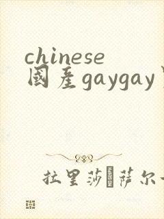 chinese国产gaygay男男网站