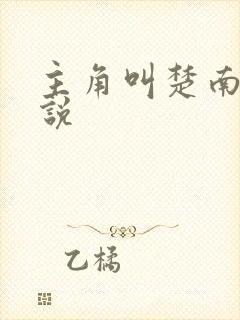 主角叫楚南的小说