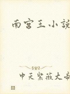 南宫玉小说