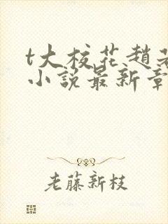 t大校花赵若芸小说最新章节更新内容