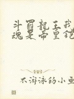 斗罗龙王我的武魂是帝皇铠甲