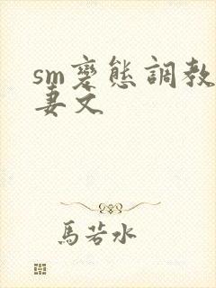 sm变态调教人妻文封面
