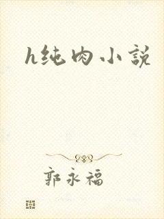 h纯肉小说