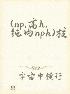 (np,高h,纯肉nph)校园