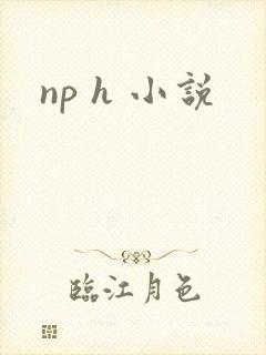 np h 小说