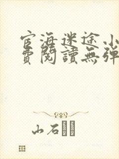 宦海迷途小说免费阅读无弹窗