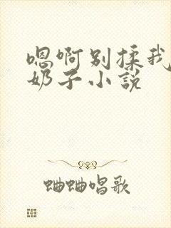 嗯啊别揉我的大奶子小说