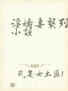 淫娇妻系列多人小说