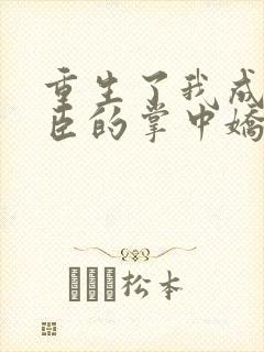 重生了我成了权臣的掌中娇 小说封面