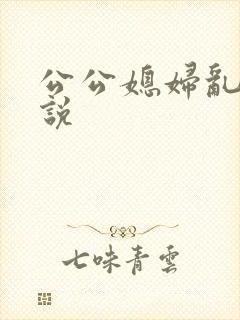 公公媳妇乱论小说