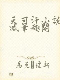 天可汗小说无删减笔趣阁封面