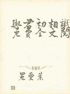 与君初相识小说免费全文阅读封面