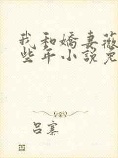 我和娇妻薇薇那些年小说免费阅读