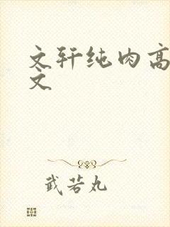 文轩纯肉高h爽文封面