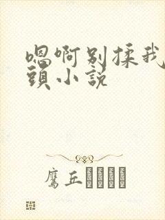 嗯啊别揉我的奶头小说