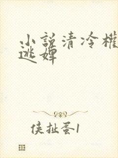 小说清冷权臣的逃婢