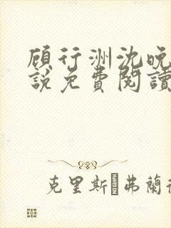 顾行洲沈晚宁小说免费阅读最新章节