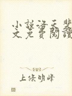 小说洛天裴容全文免费阅读封面