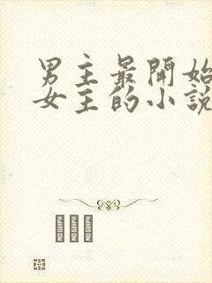 男主最开始讨厌女主的小说