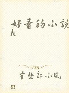 好看的小说言情h封面