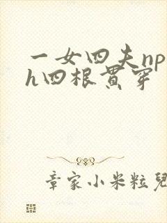 一女四夫np高h四根贯穿