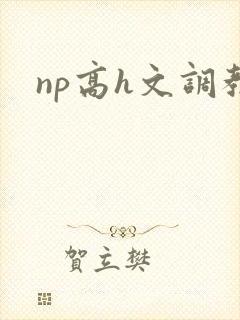 np高h文调教