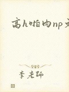 高h啪肉np文