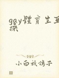 gay体育生互操