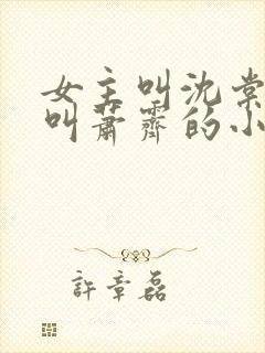 女主叫沈棠男主叫萧霁的小说