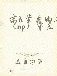 高h荤爽肉欲文〈np〉宝玉