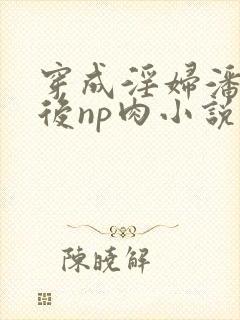 穿成淫妇潘金莲后np肉小说封面