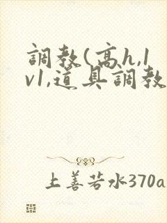 调教(高h,1v1,道具调教)