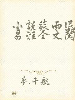 小说苏雨眠,江易淮全文阅读封面