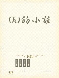 (h)的小说