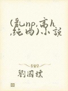 (乱np,高h,纯肉)小说