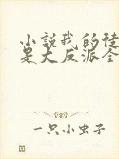 小说我的徒弟都是大反派全文下载