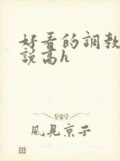 好看的调教文小说高h